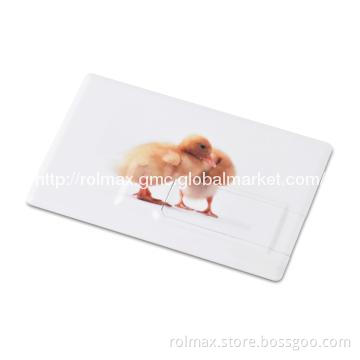 USB FLIP CARD FLASH DRIVE